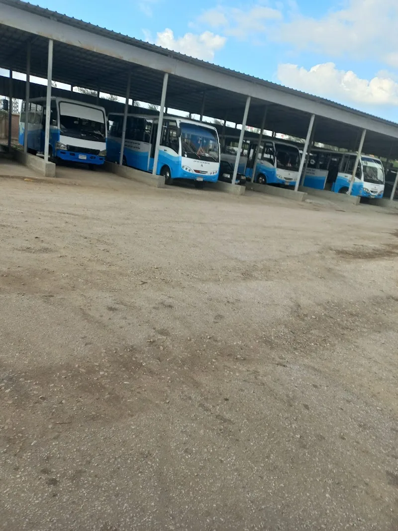 مركز التدريب الاقليمى لشركة مياه الدقهلية - Photo 3