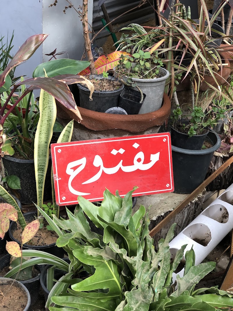 كوخ زاميا - Photo 3