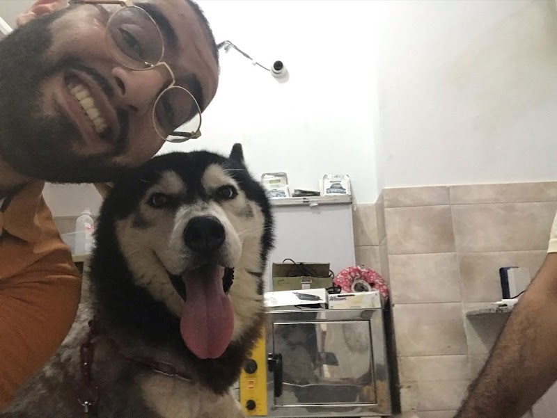 Oodi Vet Clinic - صورة 1