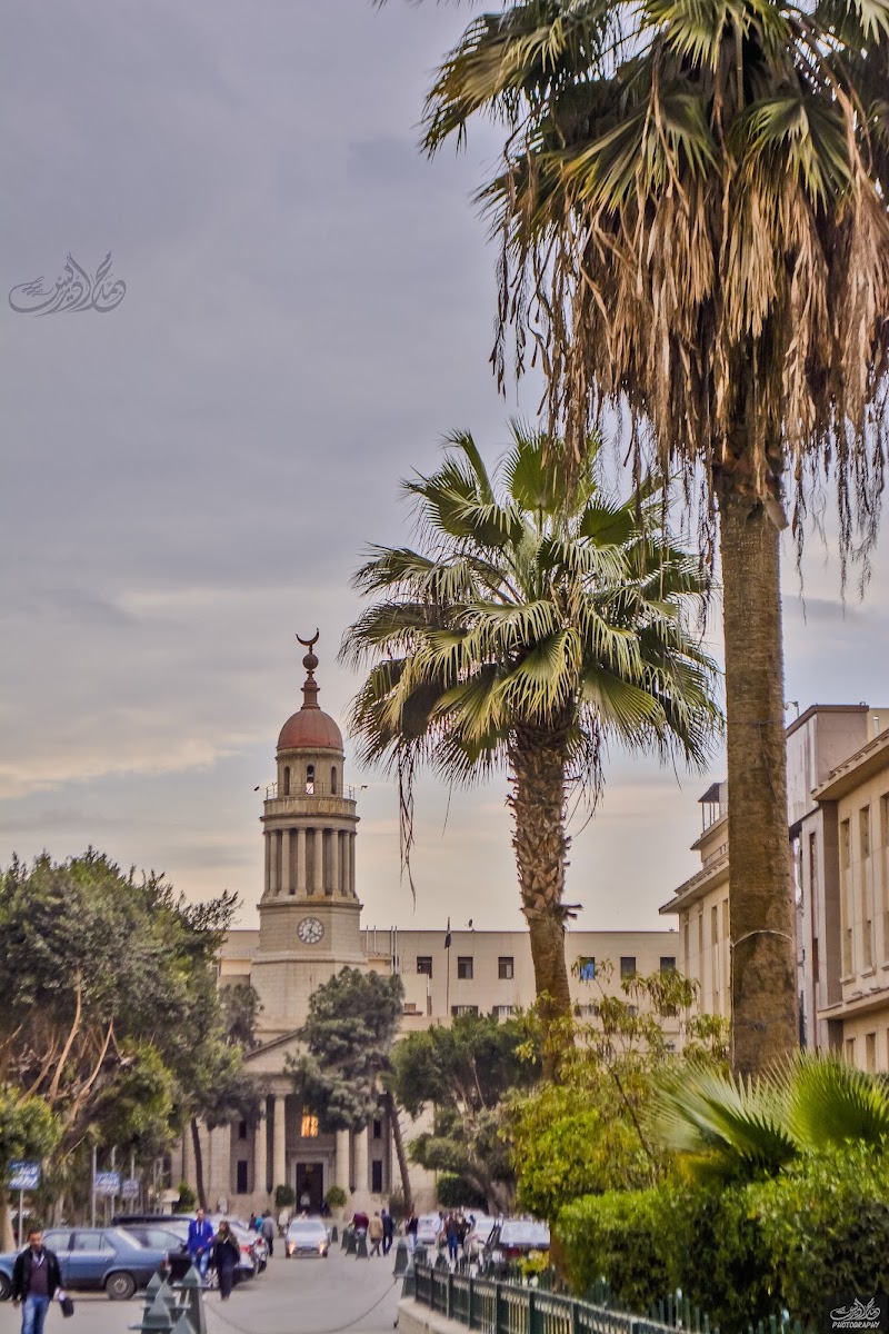 مستشفى القصر العيني - صورة 1