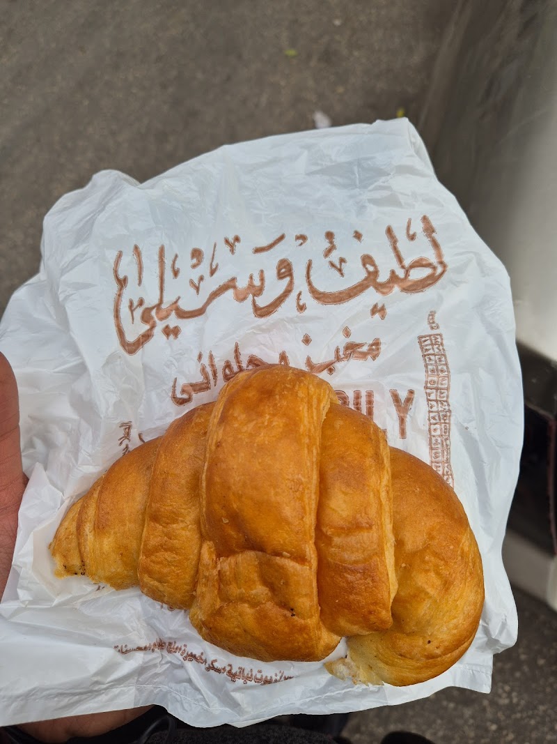 لطيف وسيلي - صورة 3