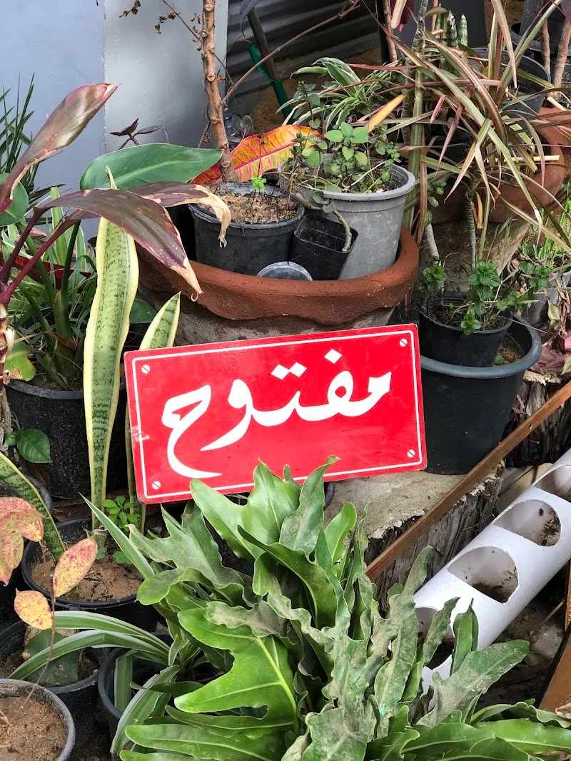 كوخ زاميا - صورة 3