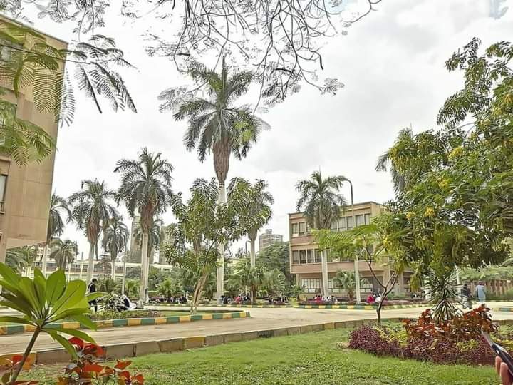 كلية الزراعة - جامعة عين شمس - صورة 1