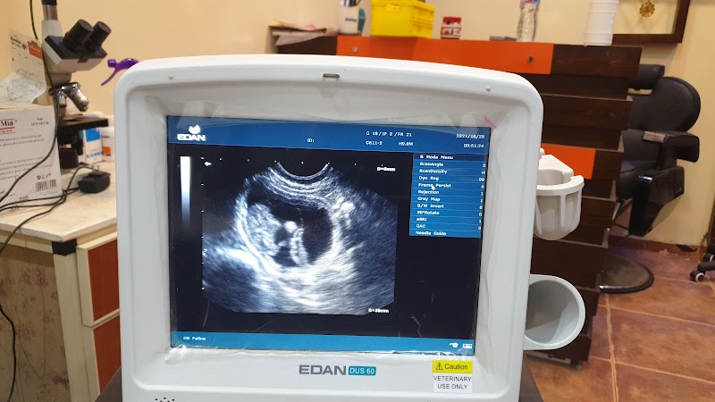 Peticare Animal Hospital عيادة بيتي كير البيطرية - صورة 3