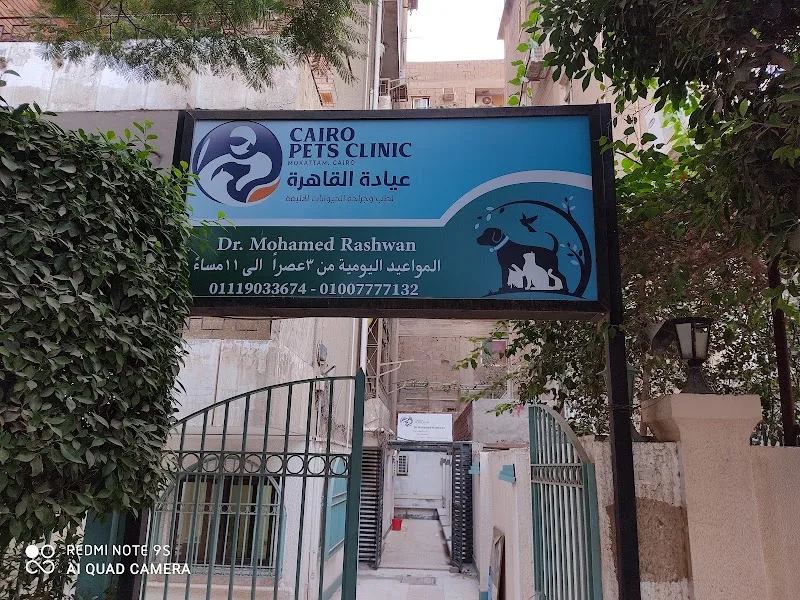Cairo Pets Clinic عيادة بيطرية المقطم - Photo 3