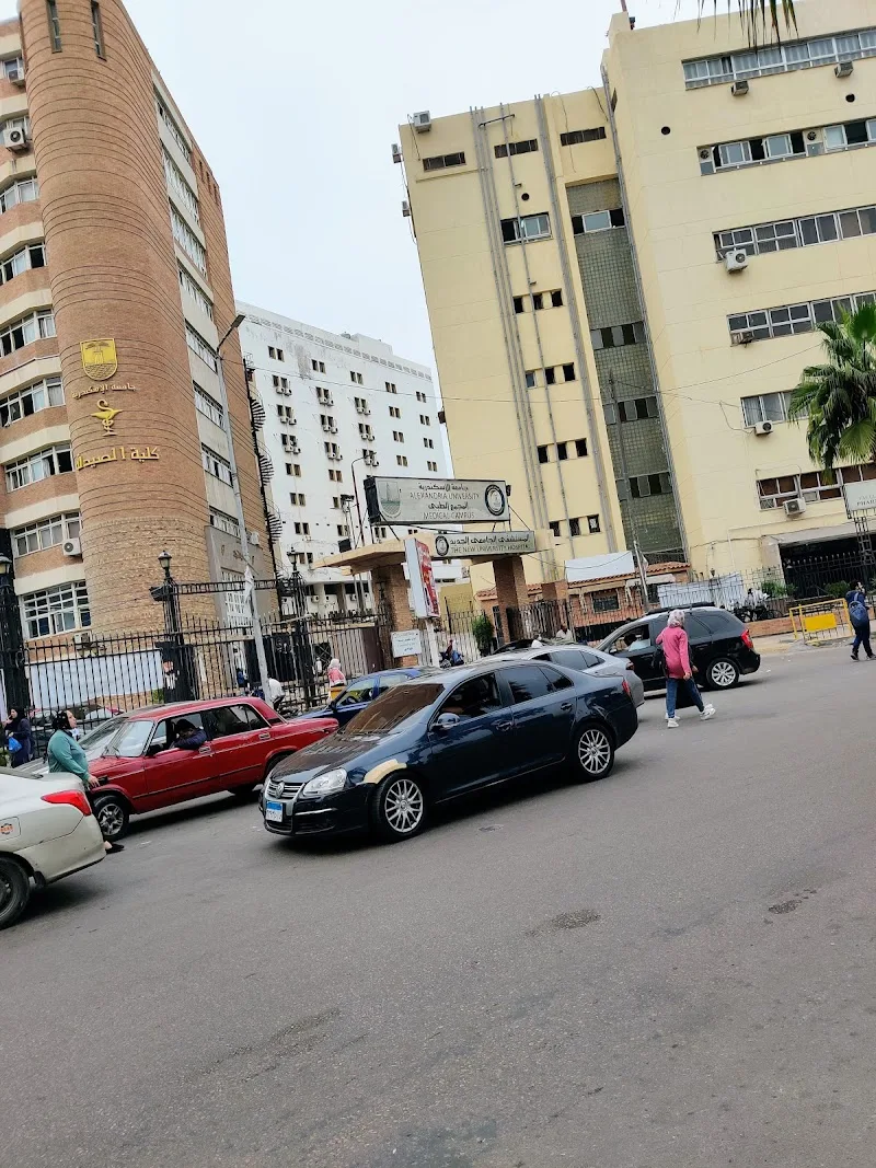 Alexandria University - Photo 1