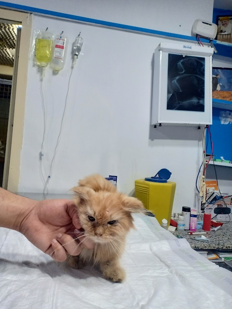 Cats & Dogs Vet Center - صورة 1