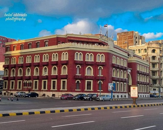 جامعة الإسكندرية