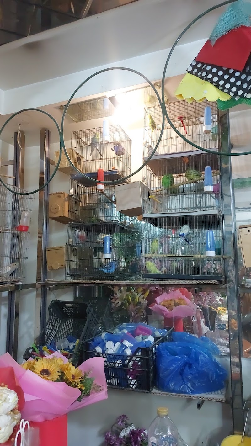 Barghout flower's - Photo 1