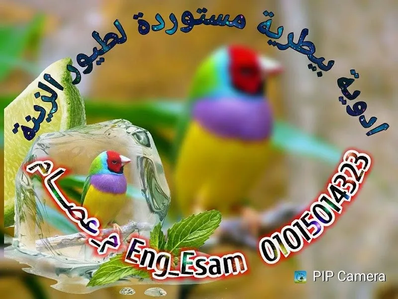ادويه بيطري مستوردة .. Esam vet store عصام فيت ستور صيدلية بيطرى
