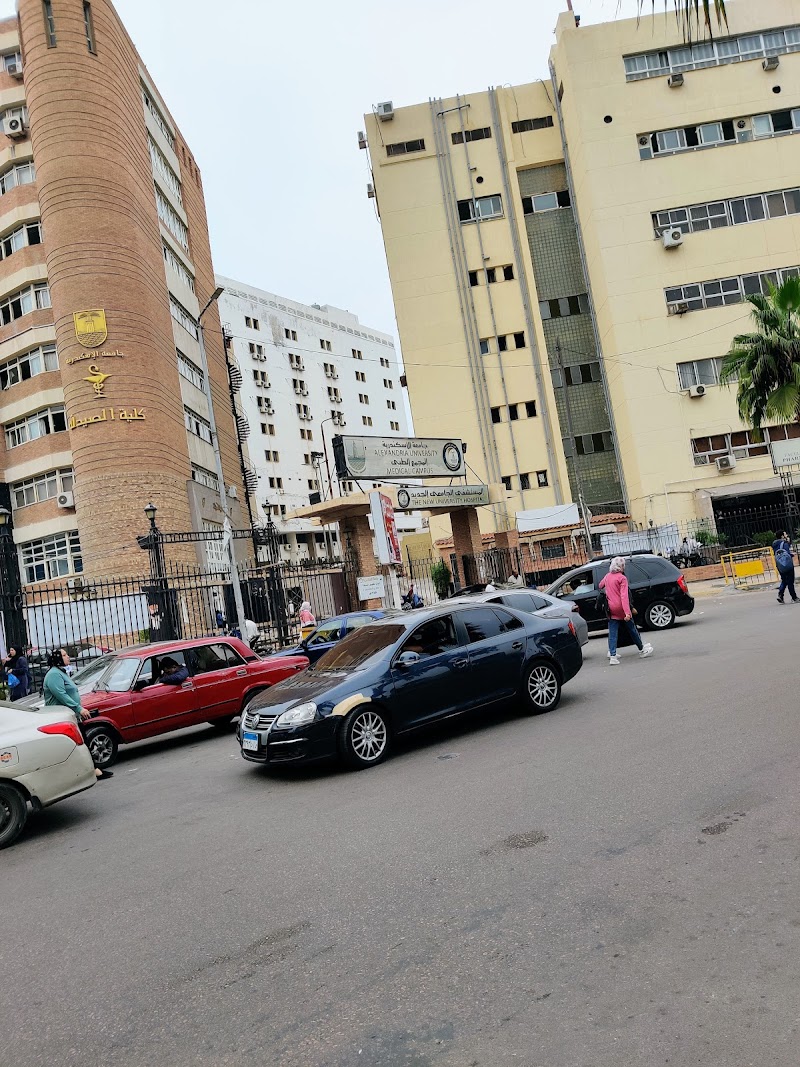 جامعة الإسكندرية - صورة 1