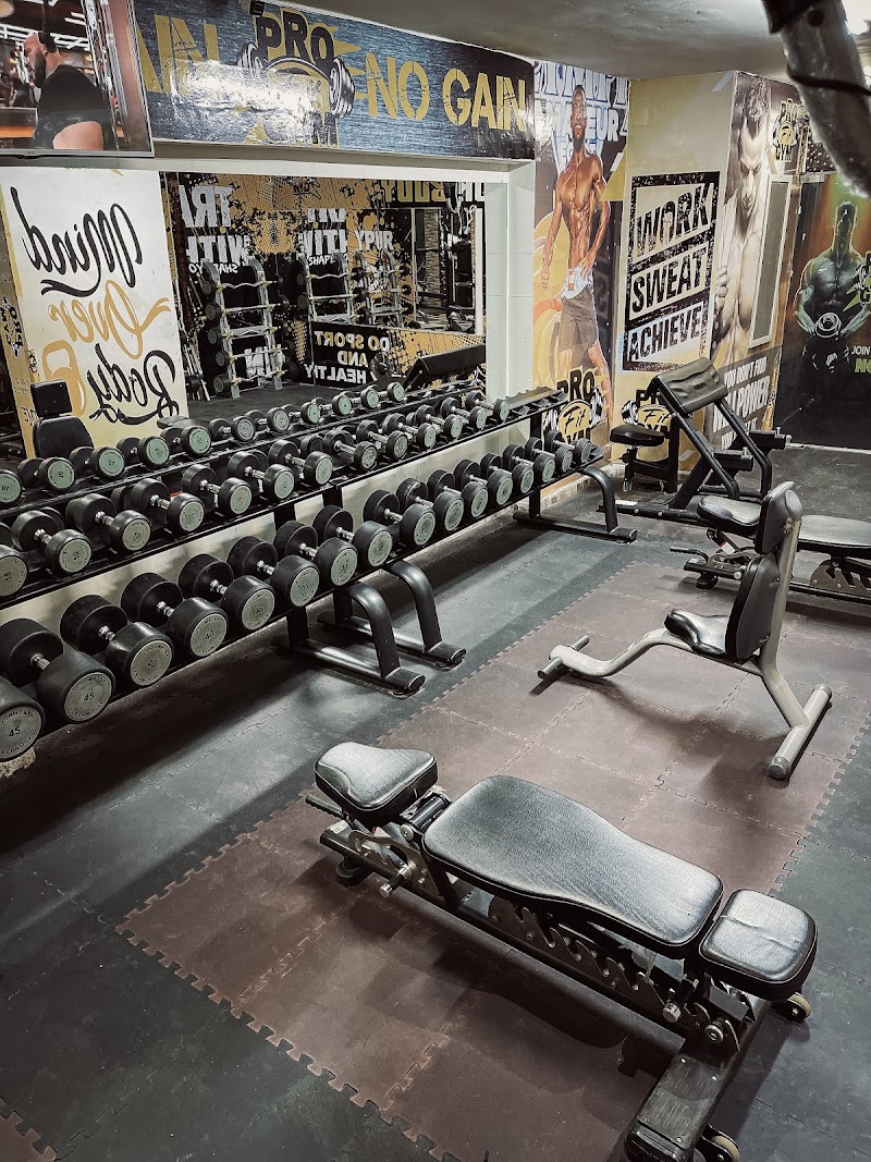 Pro Fit Gym