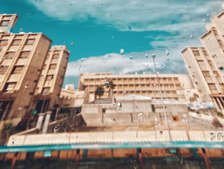 Faculty of Agriculture - Alexandria University - Photo 3