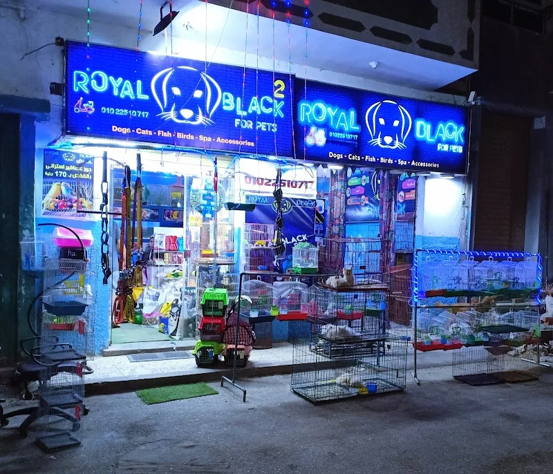 معرض ROYAL BLACK للحيوانات الأليفة وطيور الزينة وأسماك الزينة - صورة 3