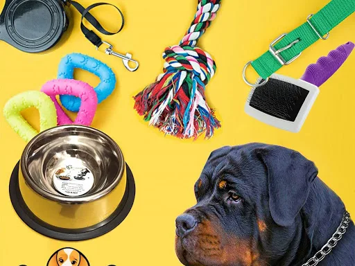 Just4Pets - صورة 1