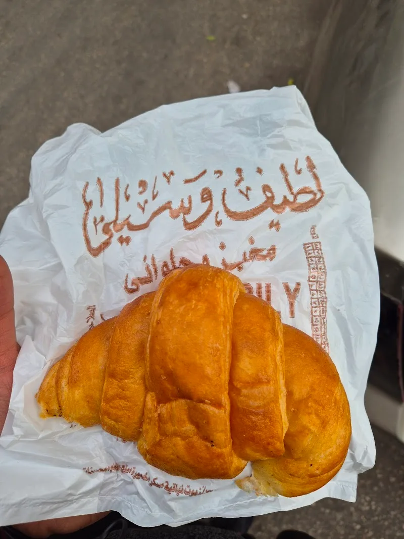 لطيف وسيلي - صورة 3