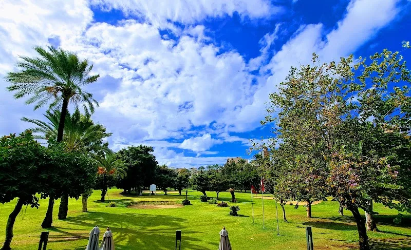 نادى إسكندرية الرياضى - سبورتنج - صورة 1