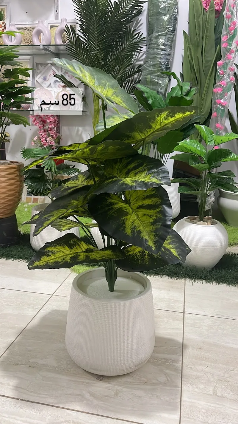 مشتل دمياط الجديده ماسه فلور - Photo 1