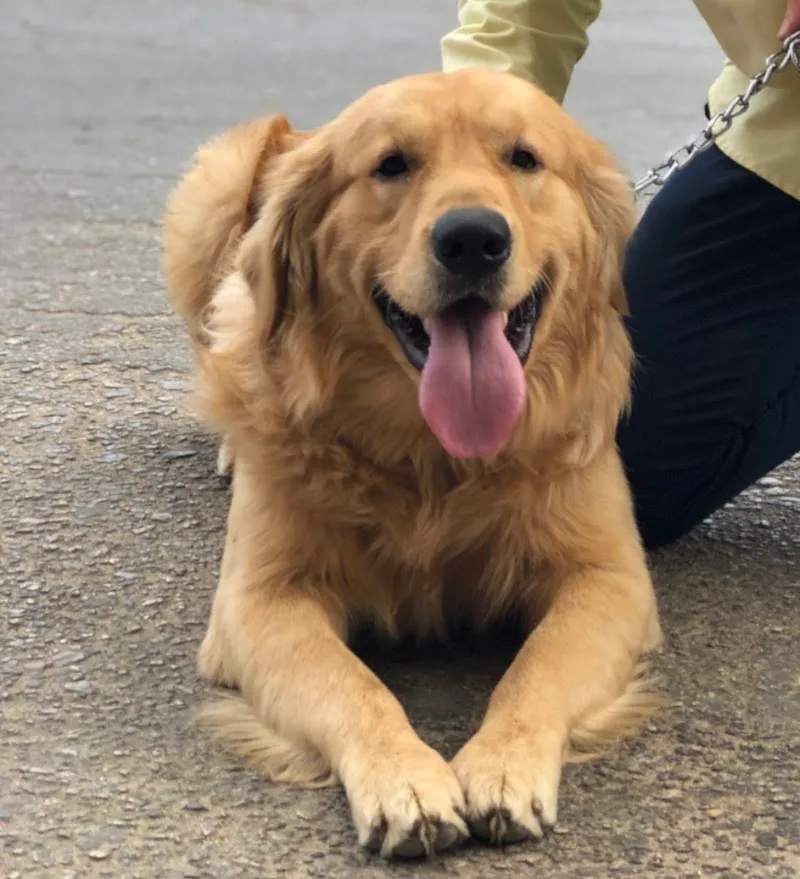 Aleef - د/ سارة سليمان - صورة 3