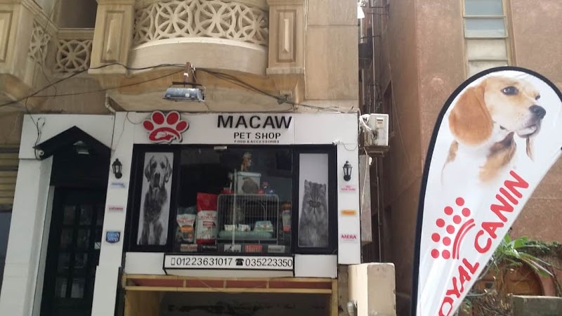 macaw pet store - صورة 1