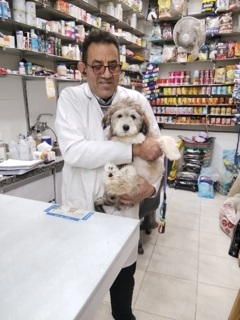 Animal Club Vet Clinic and Pet Store عيادة الخدمات البيطرية - Photo 3