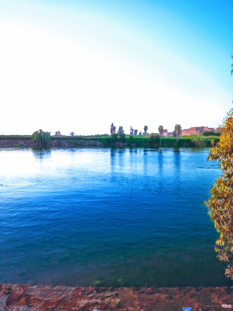 Al Hawwar Club - Photo 2