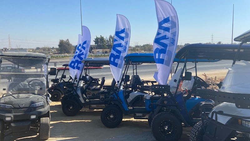 Raya Advanced Manufacturing ( RAYA AUTO)