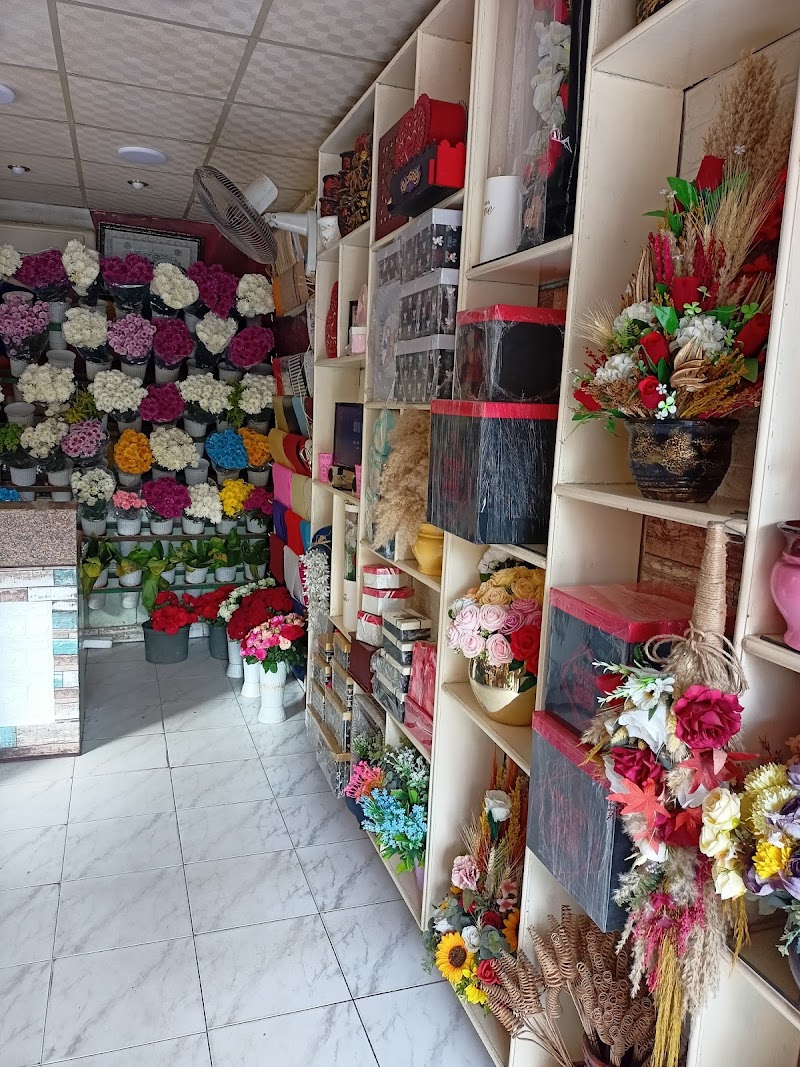 زهور تيوليب Tulips - Photo 1