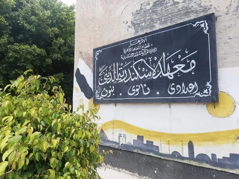 معهد الاسكندرية الازهرى - صورة 1