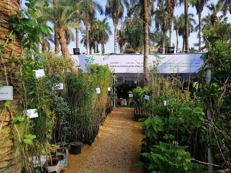 الدولية للشتلات