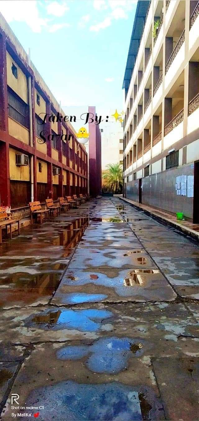 Technical Institute of Nursing - Photo 1