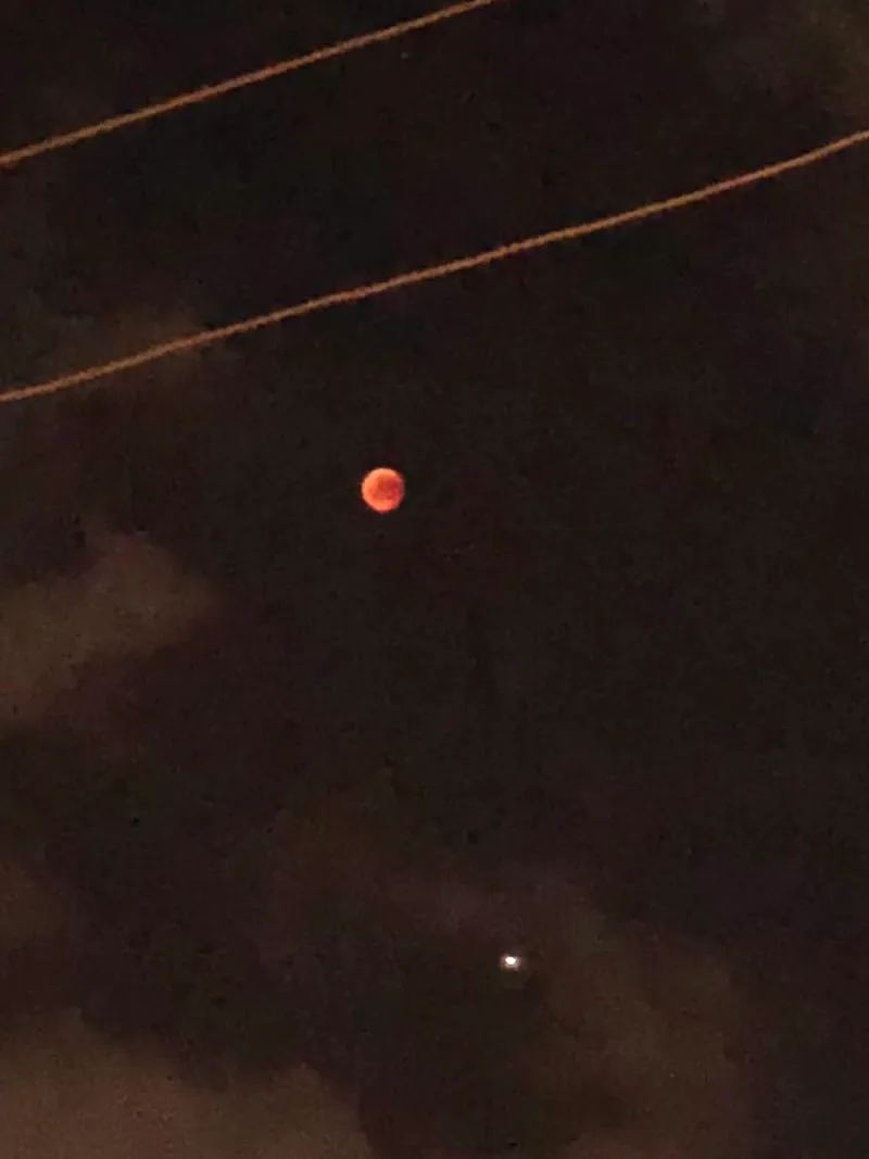 سينما ميامي (سابقا) - صورة 2