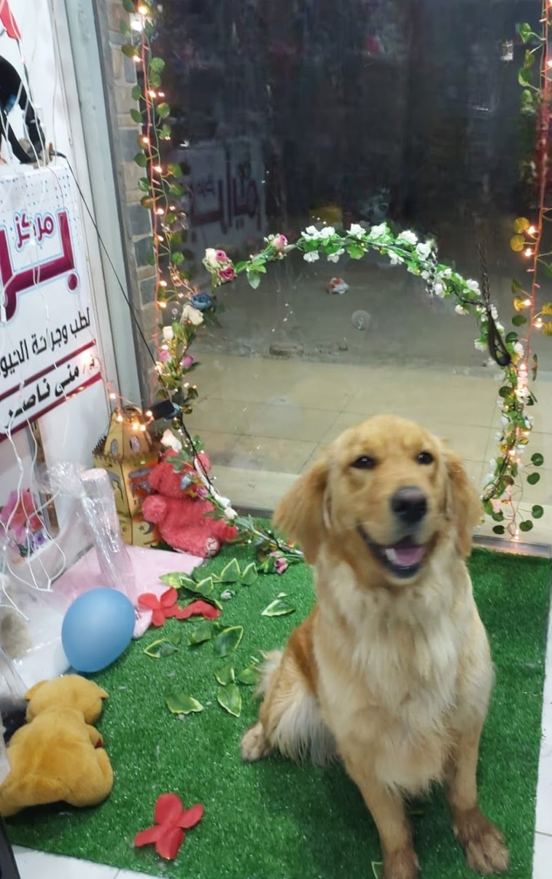 مركز برايم لعلاج الحيوانات الأليفة والطيور - صورة 2