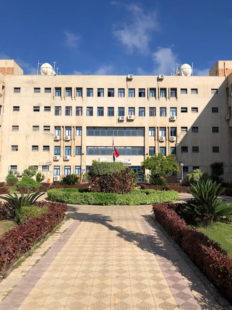 مركز تنمية قدرات اعضاء هيئة التدريس والقيادات - جامعة الاسكندريه