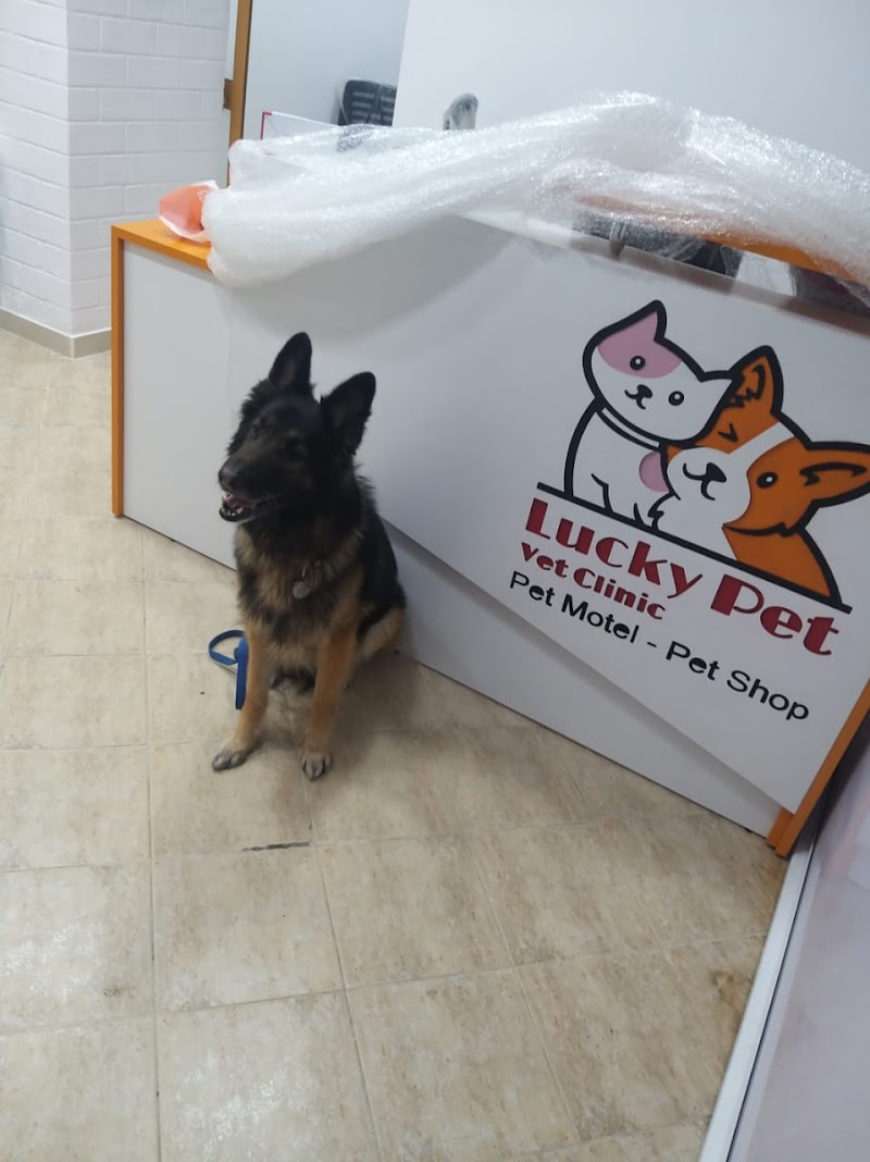 Lucky Pet Vet Clinic - Pet Motel - Pet Shop