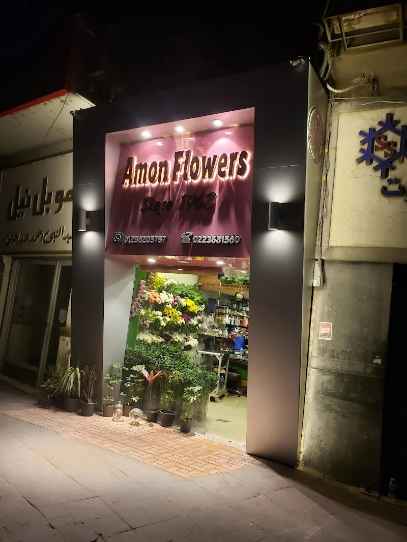 - Amon flowers زهور امون
