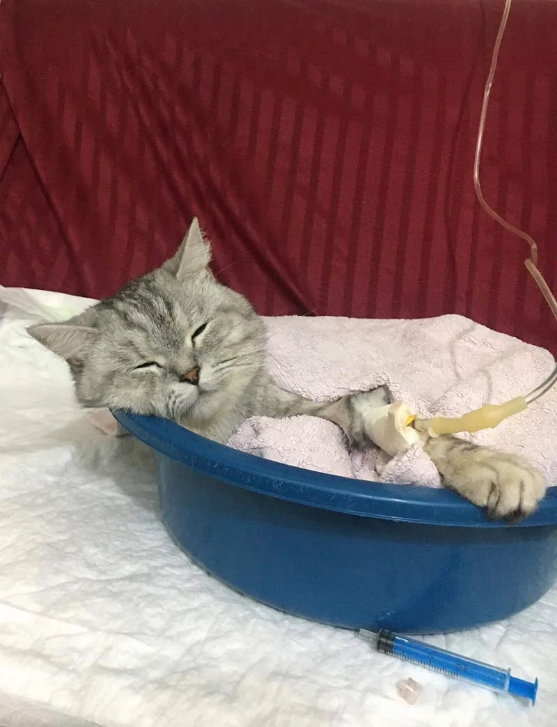 Almotawakkel Pet Center - Photo 3