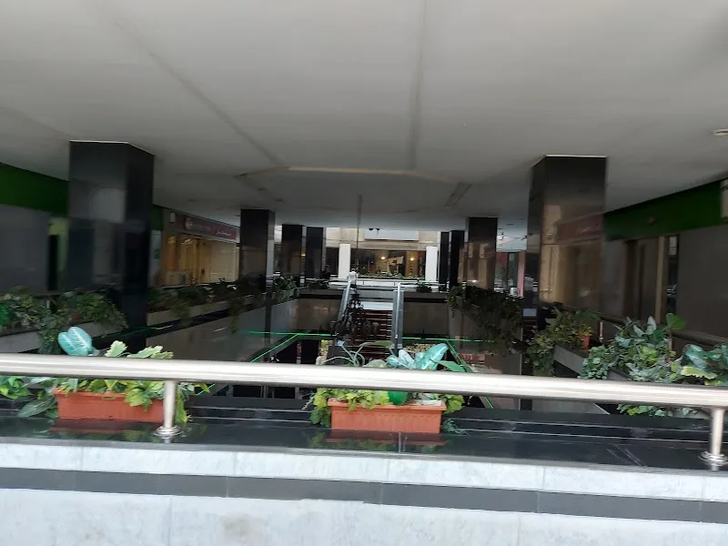 ايفر جرين - صورة 2