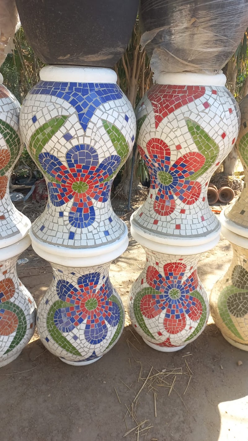 مشتل داليا لاند سكيب -Plant nursery Dalia for land scape - Photo 2