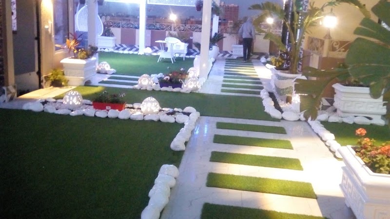 مشتل داليا لاند سكيب -Plant nursery Dalia for land scape