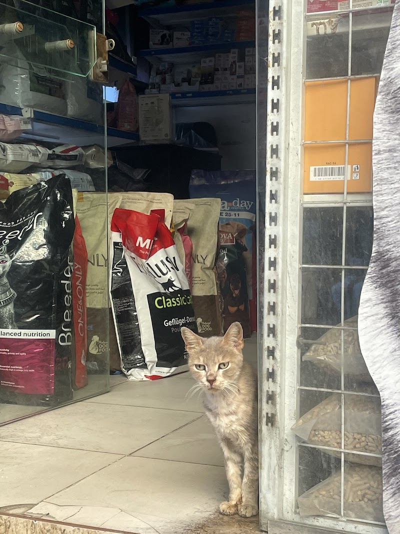 Pettix pet-shop - صورة 3