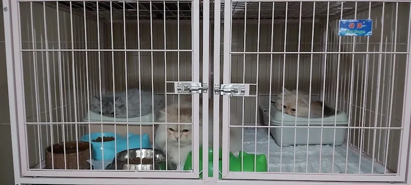 Alex Pet Center/مركز أليكس بيت البيطري - صورة 1