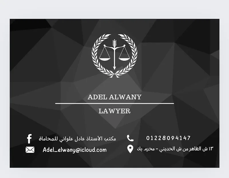 Professor / Adel Alwani Lawyer Office - Photo 3