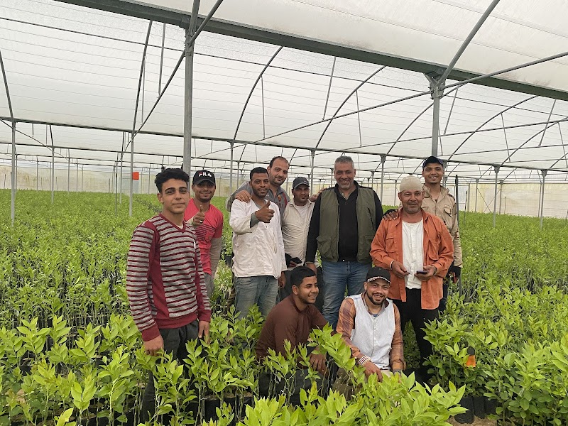 شركة بركات للتنميه الزراعيه - صورة 1