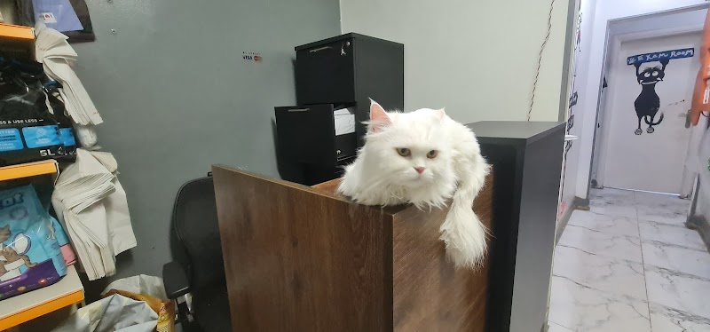 Petsology veterinary clinic العيادة البيطرية - صورة 3