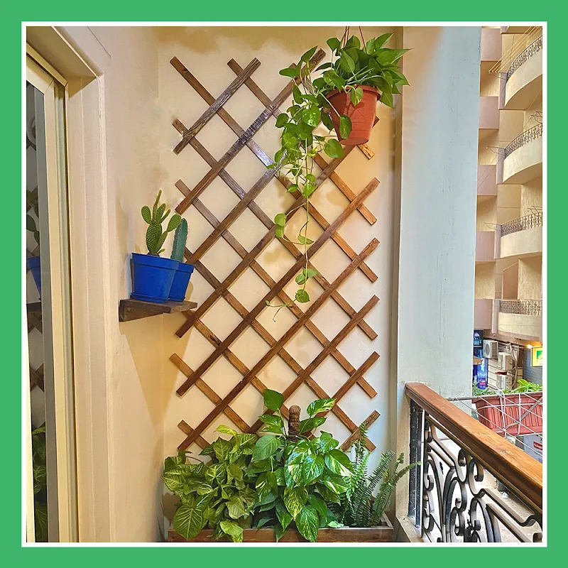 فسيلة - fasila - صورة 2