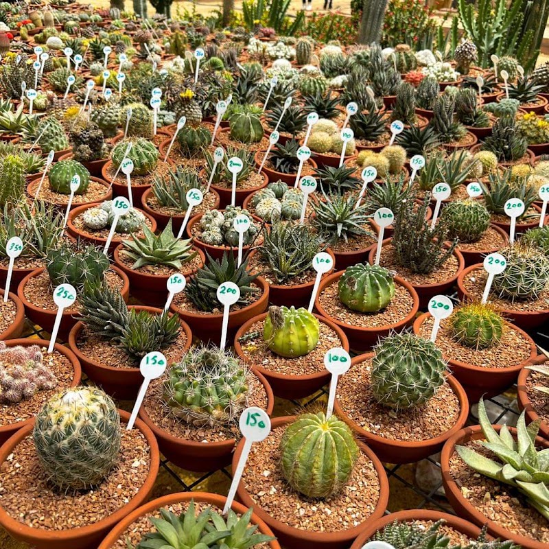 The Agricultural Museum - Photo 3