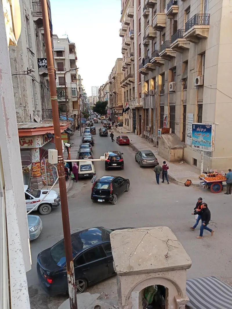 توزيع كهرباء الاسكندريه - صورة 3