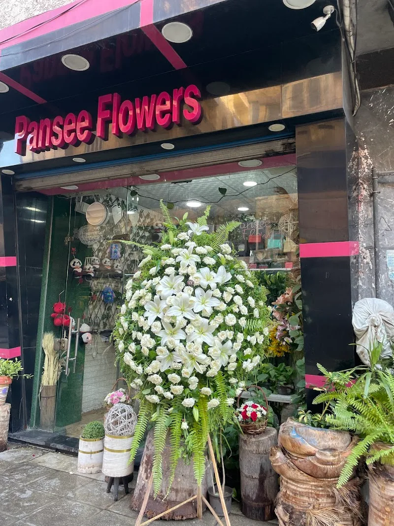 زهور بانسيه Pansee Flowers
