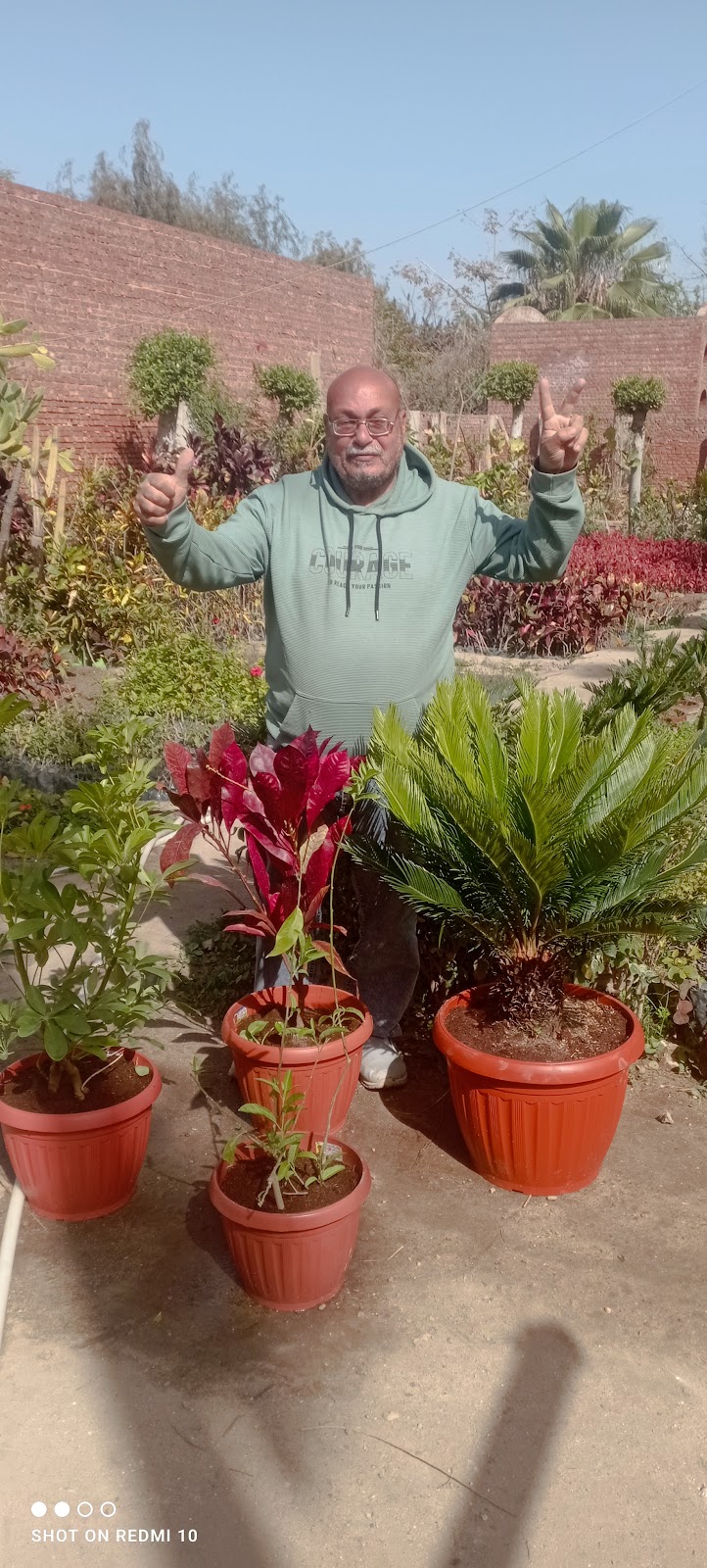 كلية زراعة الشاطبى ـ وحدة الزينة وتجميل البيئة ـ مشتل الارشاد - صورة 3